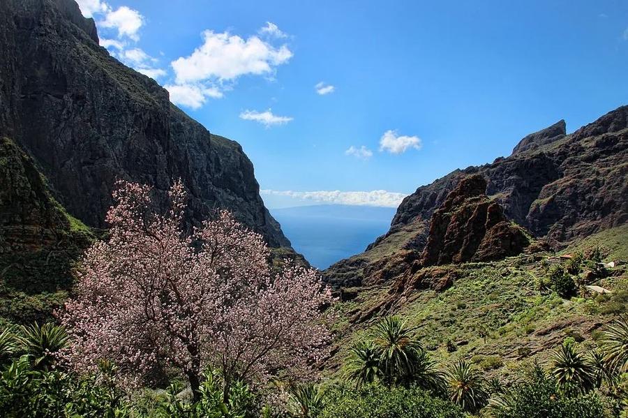 Tenerife-Landscape